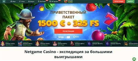 Netgame casino download